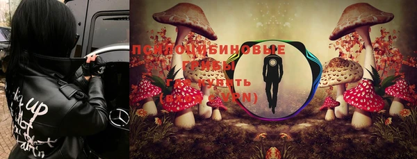 mdpv Балахна