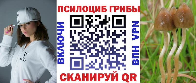 купить наркотики цена  Соль-Илецк  ОМГ ОМГ как войти  Галлюциногенные грибы Cubensis 